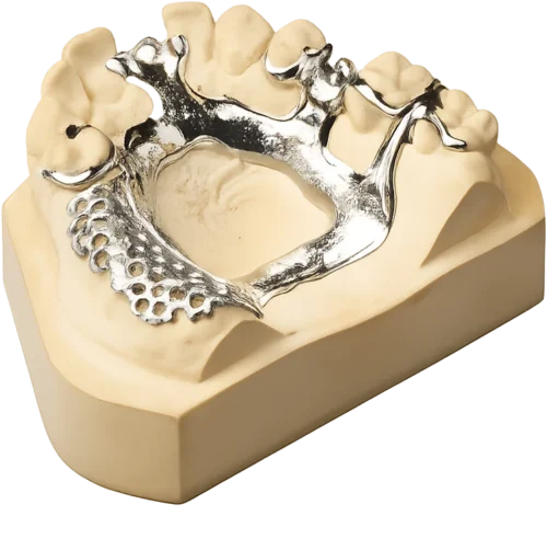 Co-Cr Cast Partial Denture