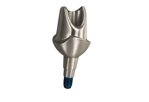Custom Abutment